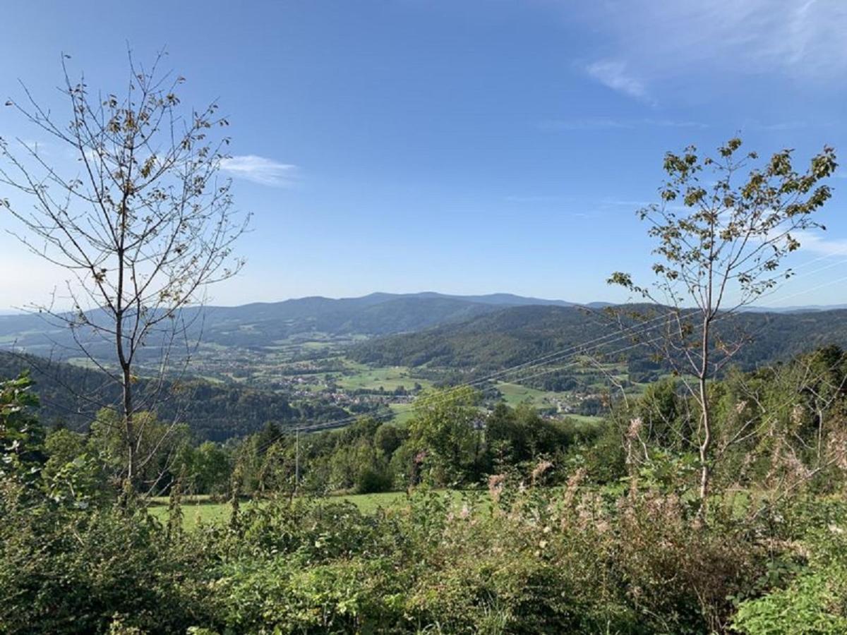 Ferienland Sonnenwald Fewo 46 Und Studio 50 In Schoefweg Bayerischer Wald Zewnętrze zdjęcie