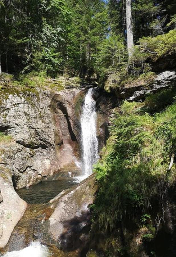 Ferienland Sonnenwald Fewo 46 Und Studio 50 In Schoefweg Bayerischer Wald Zewnętrze zdjęcie