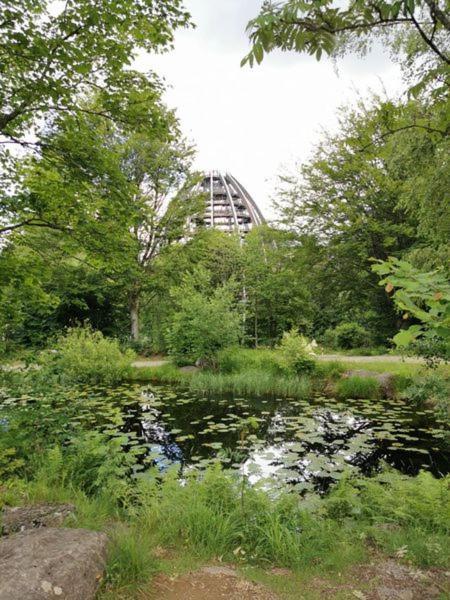 Ferienland Sonnenwald Fewo 46 Und Studio 50 In Schoefweg Bayerischer Wald Zewnętrze zdjęcie