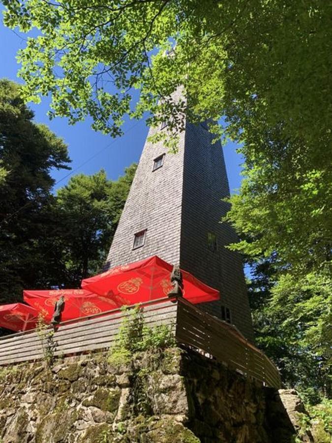 Ferienland Sonnenwald Fewo 46 Und Studio 50 In Schoefweg Bayerischer Wald Zewnętrze zdjęcie