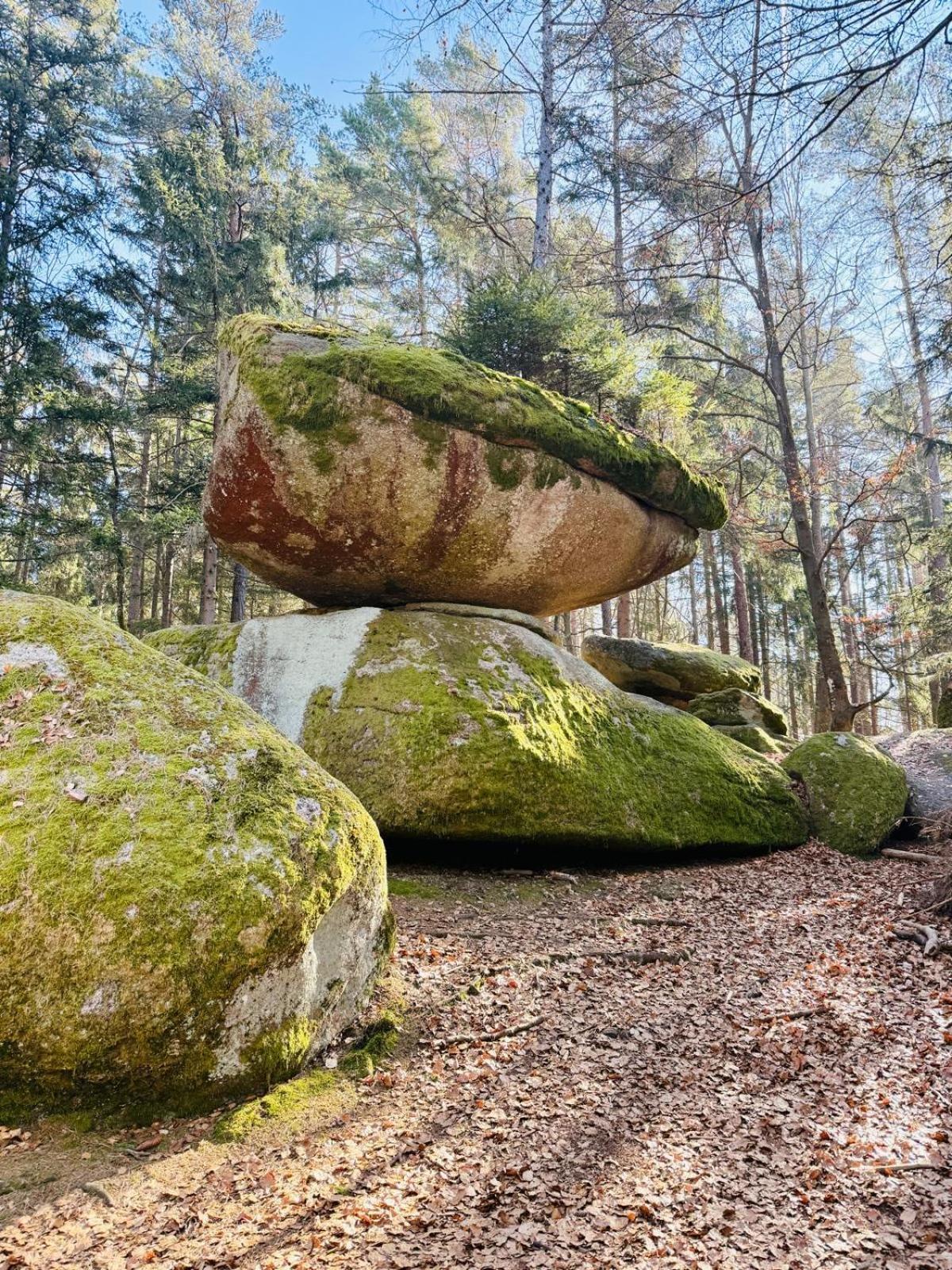 Ferienland Sonnenwald Fewo 46 Und Studio 50 In Schoefweg Bayerischer Wald Zewnętrze zdjęcie